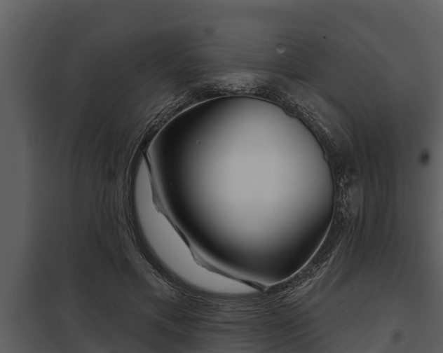 X0000097950597200804011636