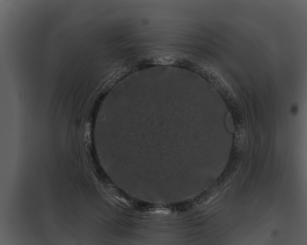 X0000097950598200804011636