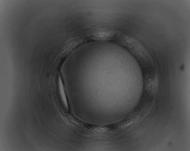 X0000097950599200804011636