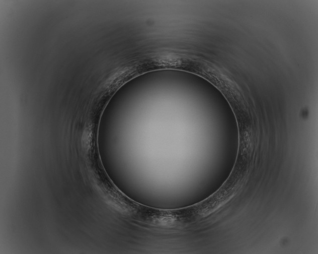 X0000097950600200804011636