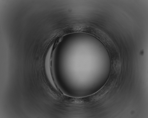 X0000097950601200804011636