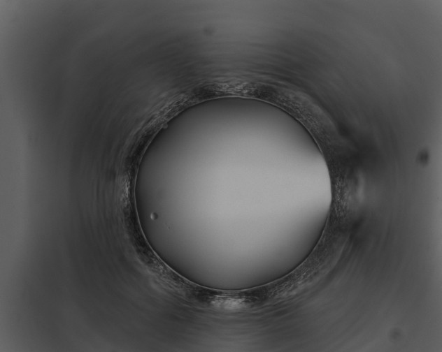 X0000097950602200804011636