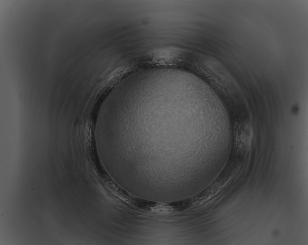X0000097950603200804011636