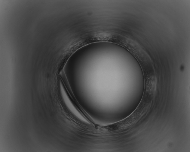 X0000097950604200804011636
