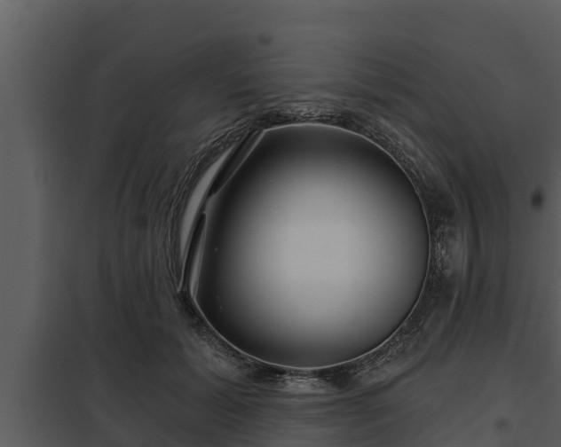 X0000097950605200804011636