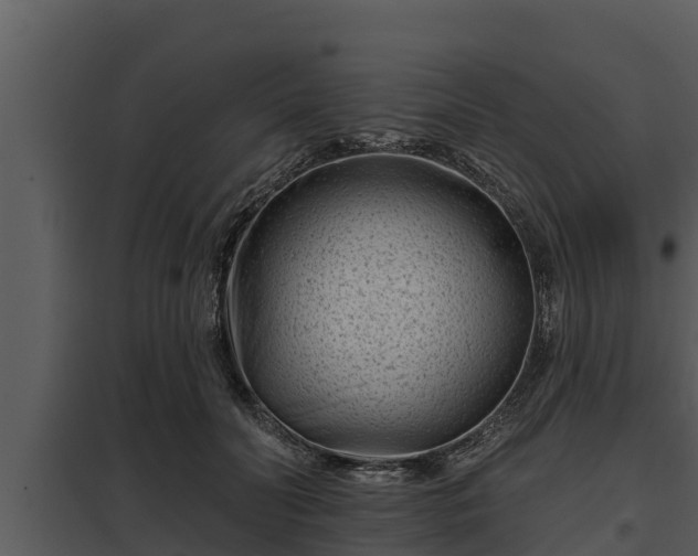 X0000097950606200804011636