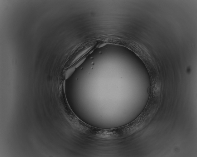 X0000097950607200804011636