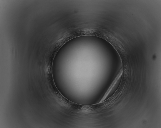 X0000097950608200804011636