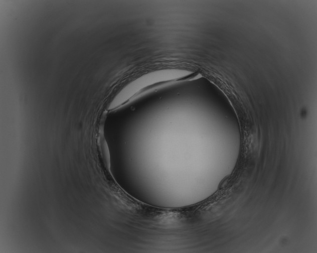 X0000097950609200804011636