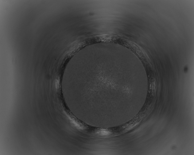 X0000097950610200804011636