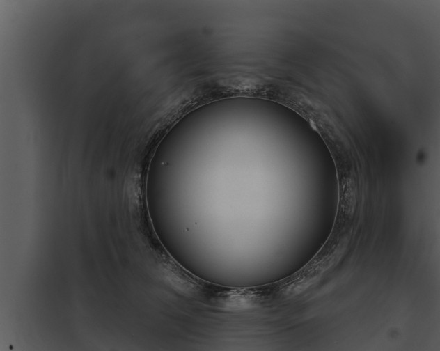 X0000097950612200804011636