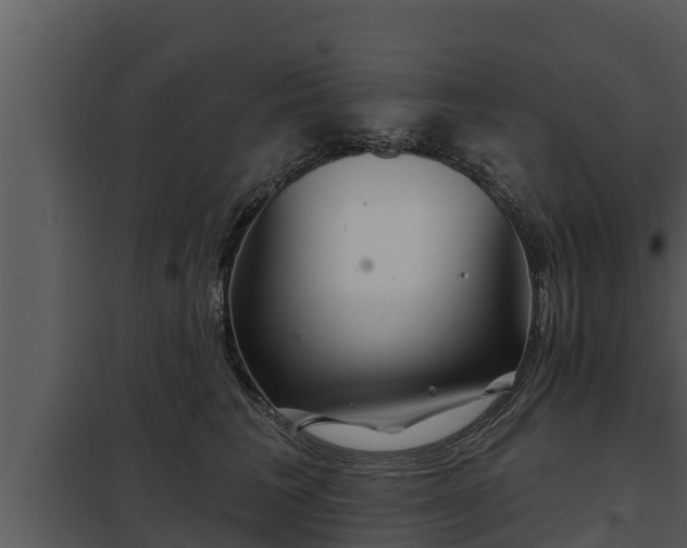 X0000097950613200804011636