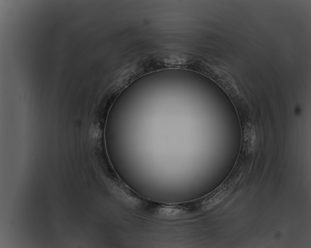 X0000097950614200804011636
