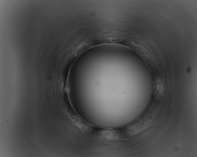 X0000097950615200804011636