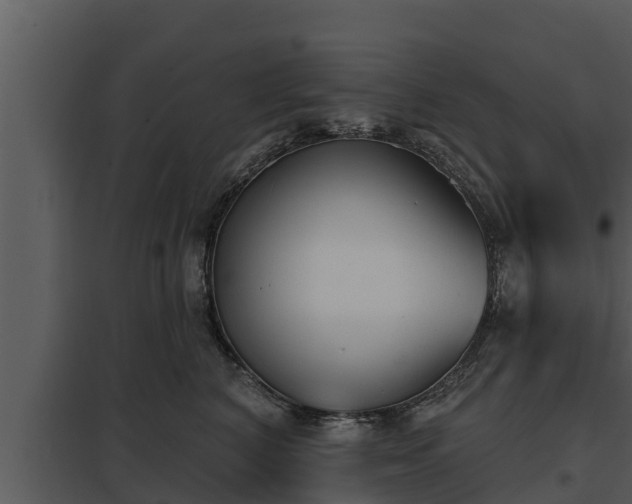 X0000097950616200804011636