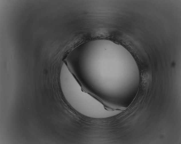 X0000097950617200804011636