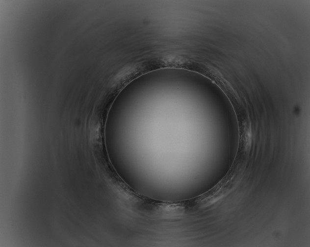 X0000097950619200804011636