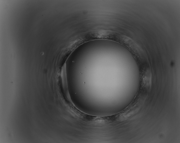 X0000097950620200804011636