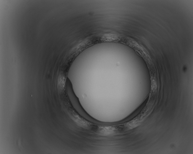 X0000097950621200804011636