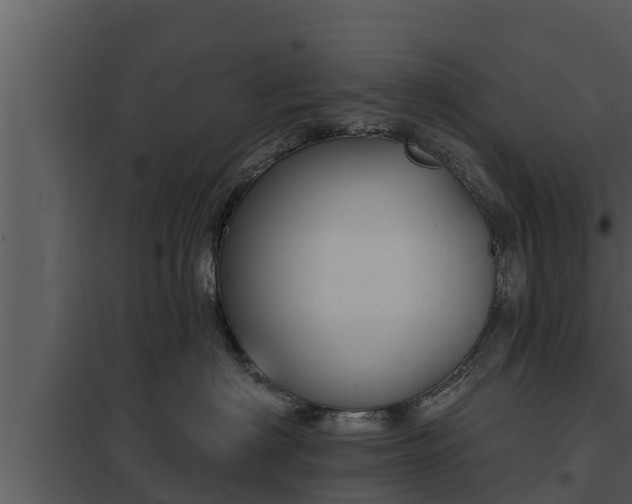 X0000097950622200804011636