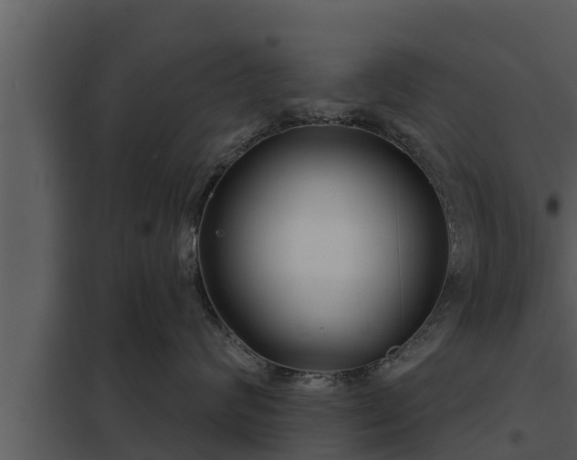 X0000097950624200804011636