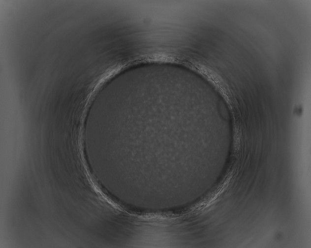 X0000097950625200804011635