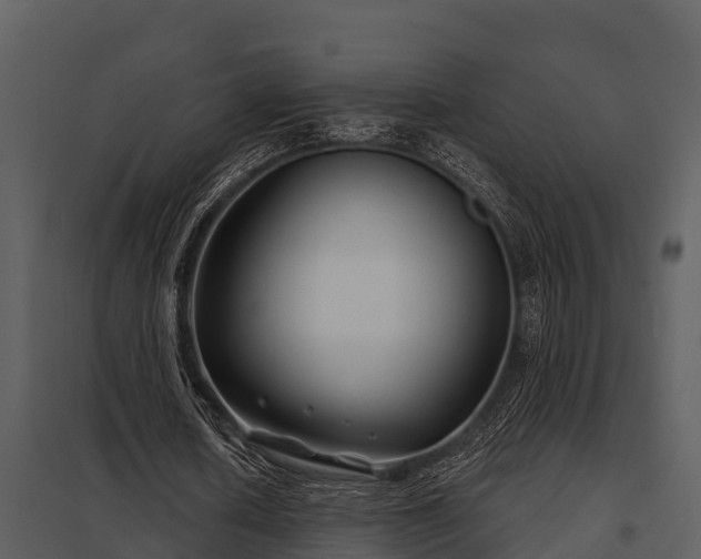X0000097950626200804011635