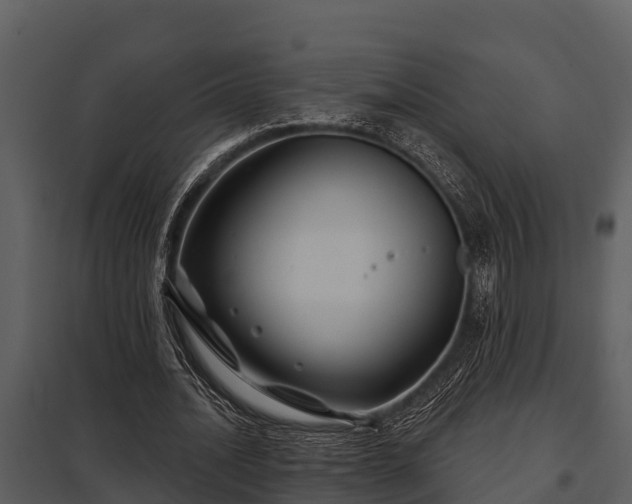 X0000097950628200804011635