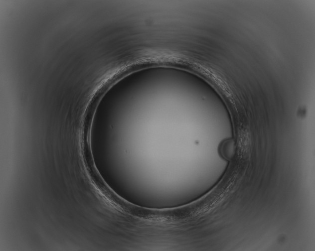 X0000097950629200804011635