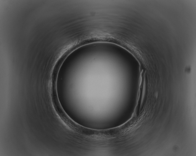 X0000097950630200804011635