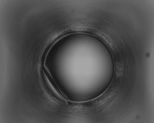 X0000097950631200804011635