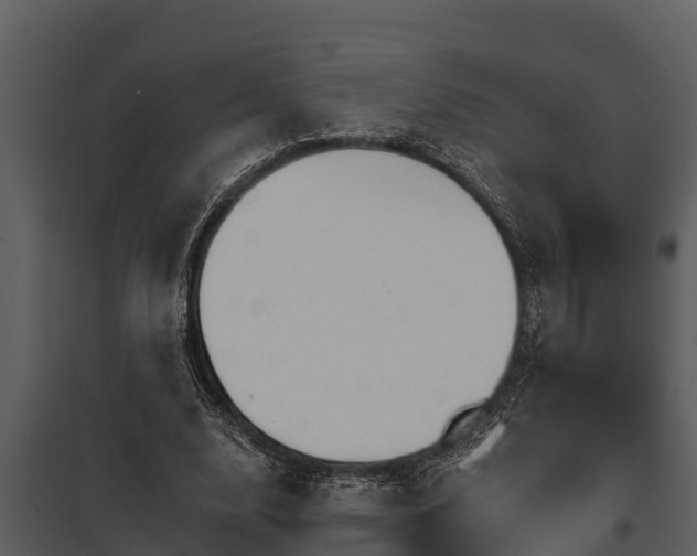 X0000097950632200804011635