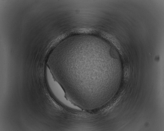 X0000097950633200804011635