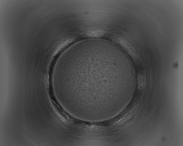 X0000097950634200804011635