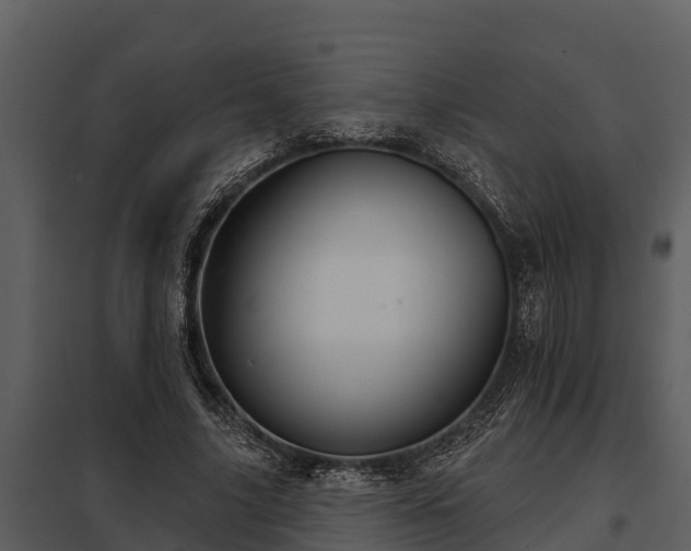 X0000097950635200804011635