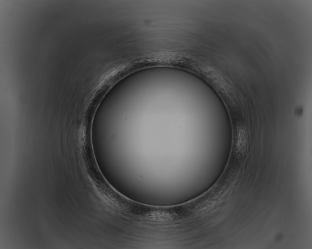 X0000097950636200804011635