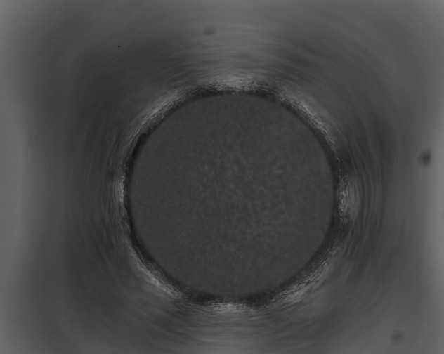 X0000097950637200804011635