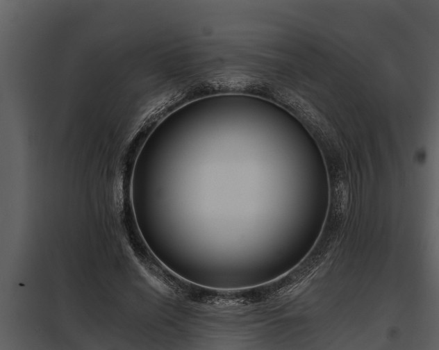 X0000097950638200804011635