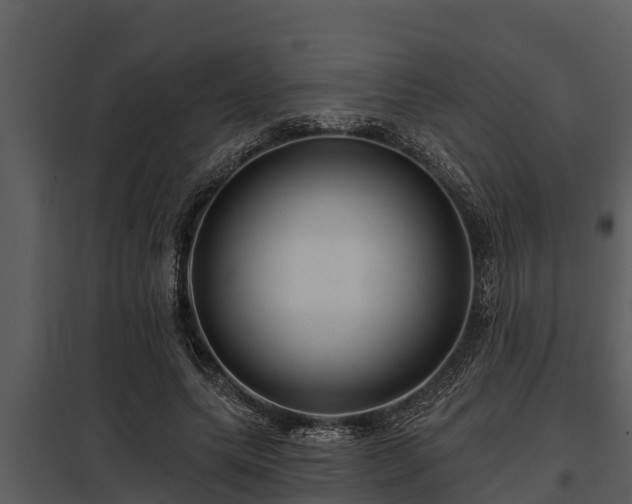 X0000097950639200804011635
