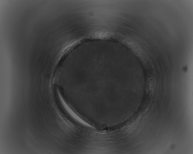 X0000097950640200804011635