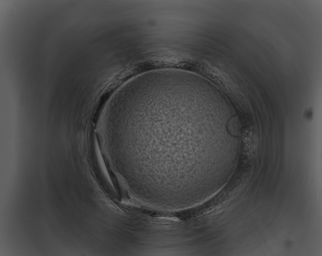 X0000097950642200804011635