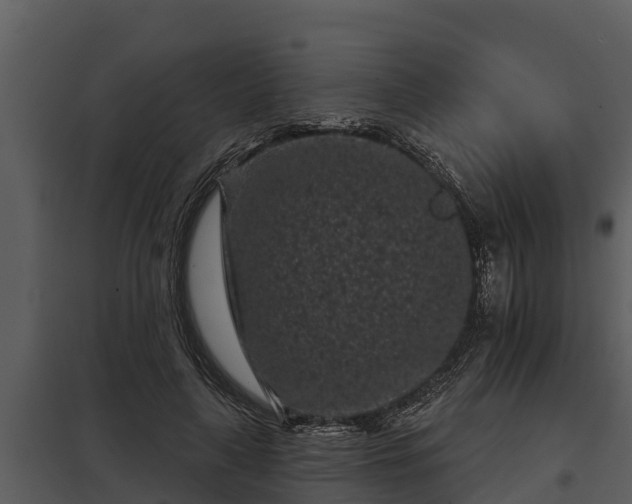 X0000097950643200804011635