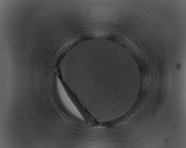 X0000097950644200804011635