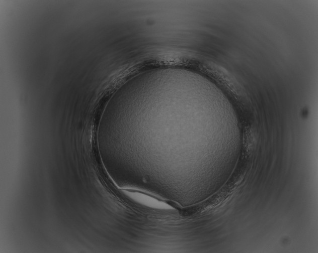 X0000097950645200804011635