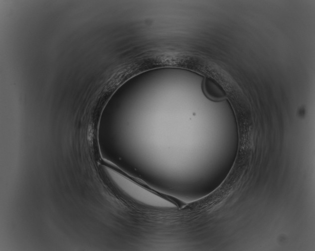 X0000097950646200804011635