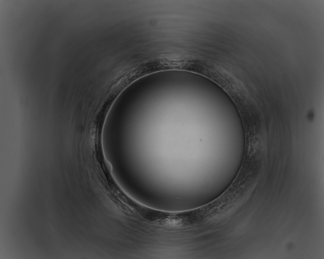X0000097950647200804011635