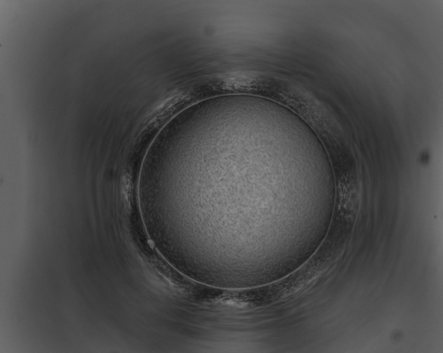 X0000097950648200804011635