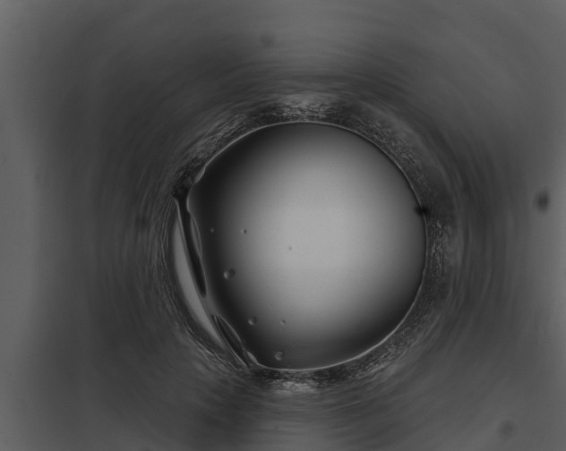 X0000097950649200804011635