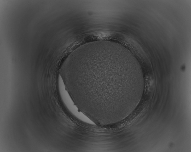 X0000097950650200804011635