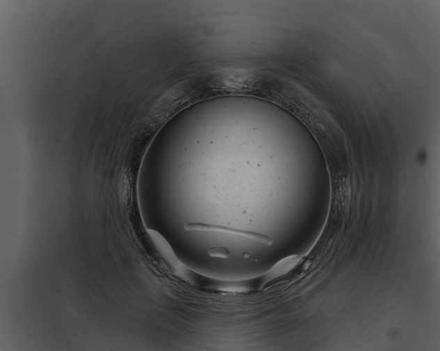 X0000097950651200804011635